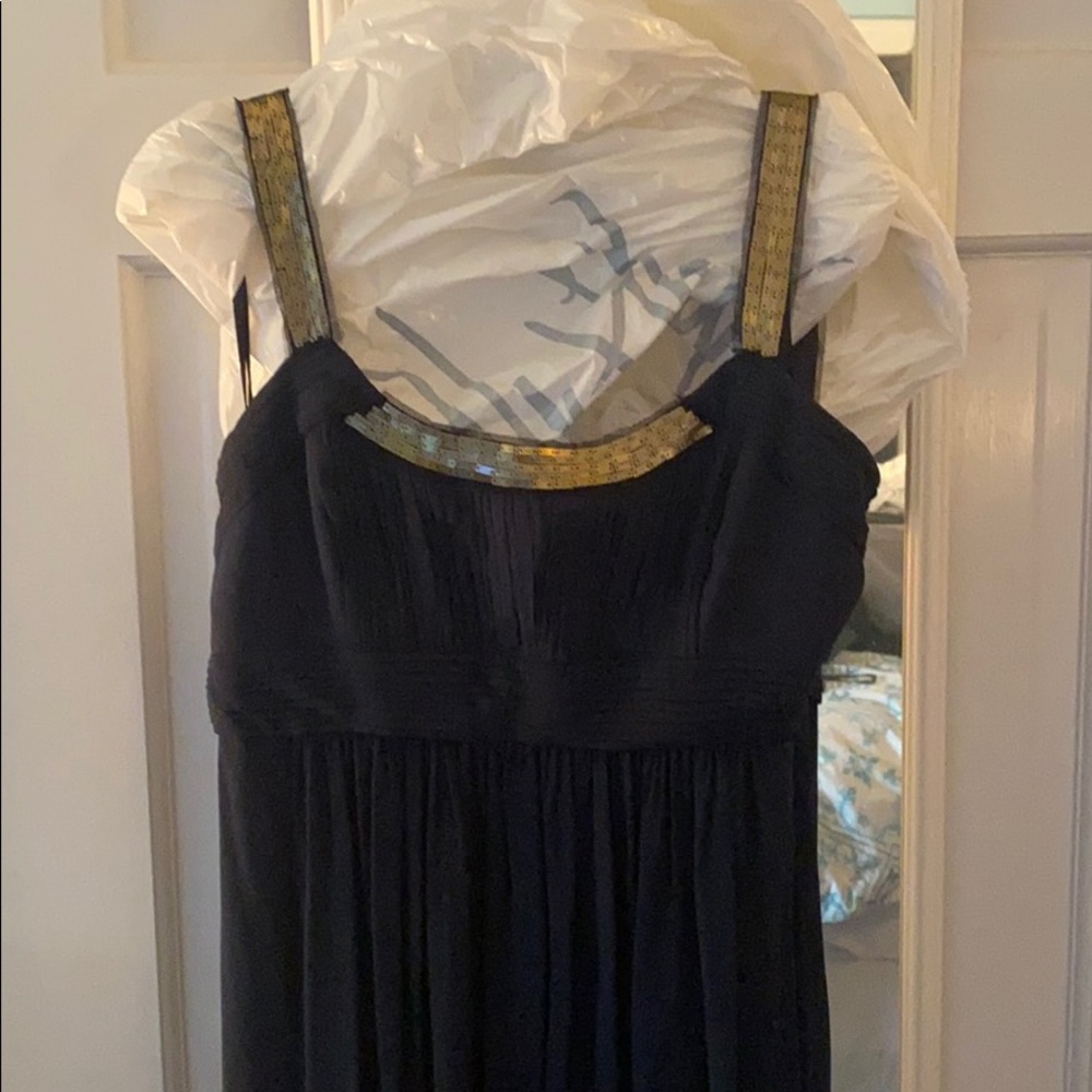 BCBG Maxazria Maxi dress